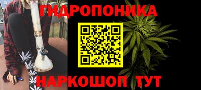 мдпв Славгород
