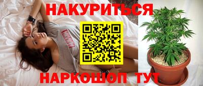 мдпв Славгород