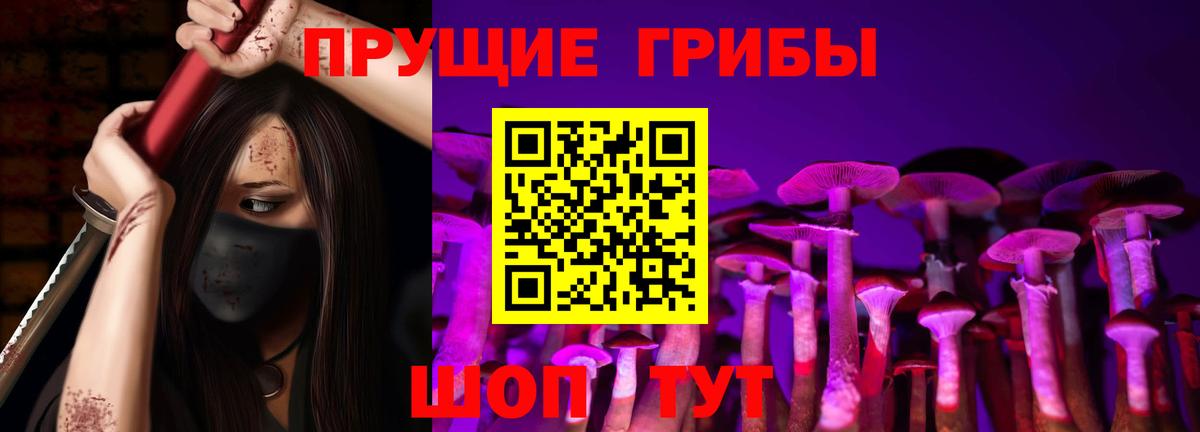 Галлюциногенные грибы прущие грибы  Галлюциногенные грибы Psilocybine cubensis  Вход с VPN  Нурлат 